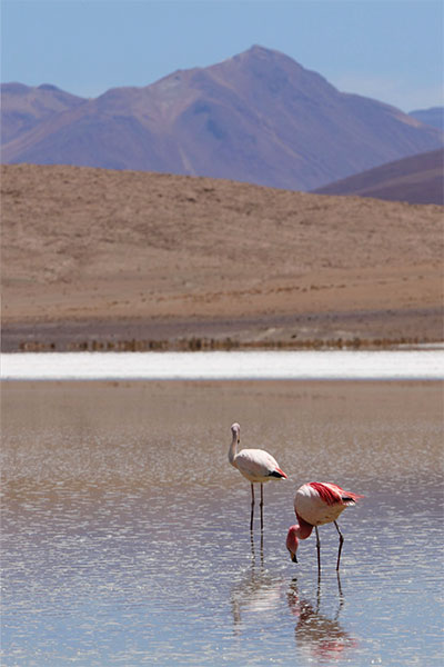 Bolivia